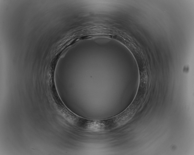 X0000095550754200712141555