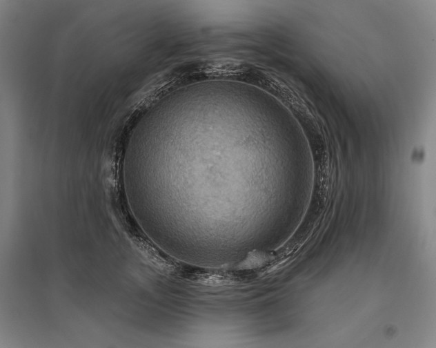 X0000095550755200712141555