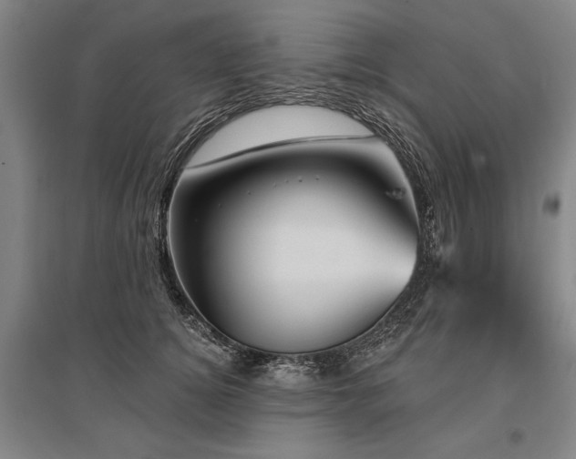 X0000095550756200712141555