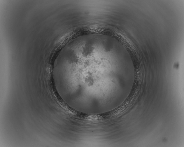 X0000095550757200712141555