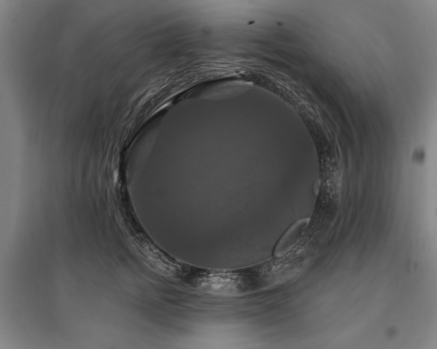 X0000095550758200712141555