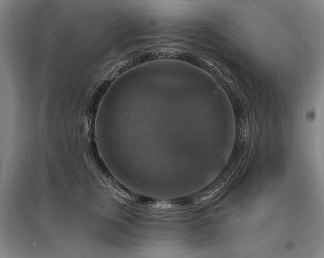 X0000095550759200712141555