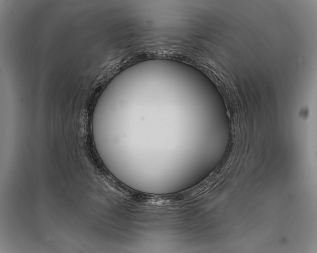 X0000095550760200712141555