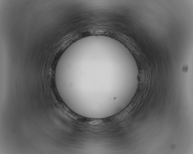 X0000095550761200712141555