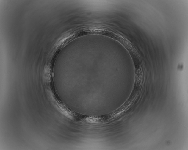 X0000095550762200712141555