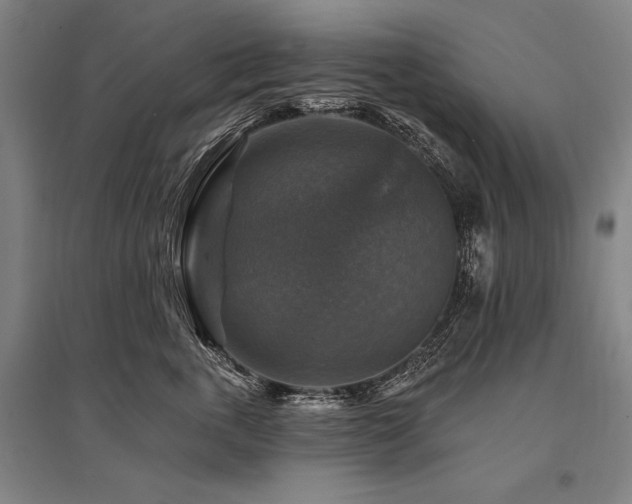 X0000095550763200712141555