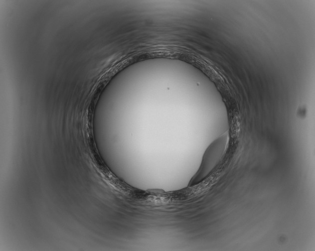 X0000095550764200712141555