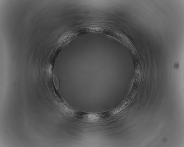 X0000095550765200712141555