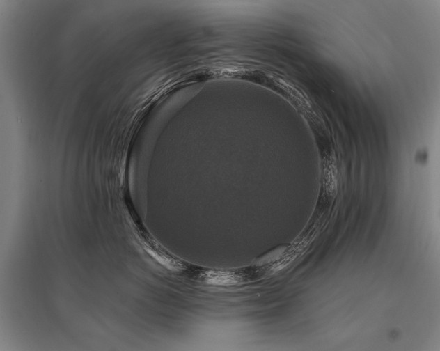 X0000095550766200712141555