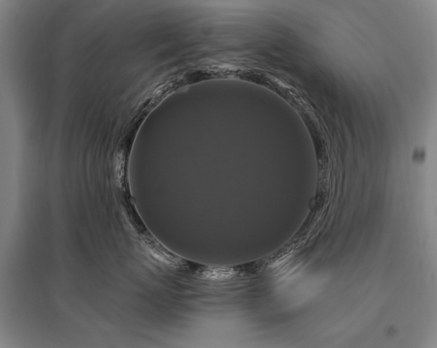 X0000095550767200712141555