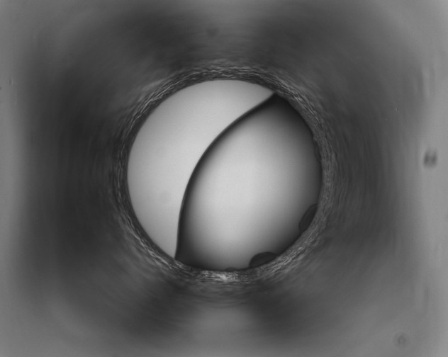 X0000095550768200712141555