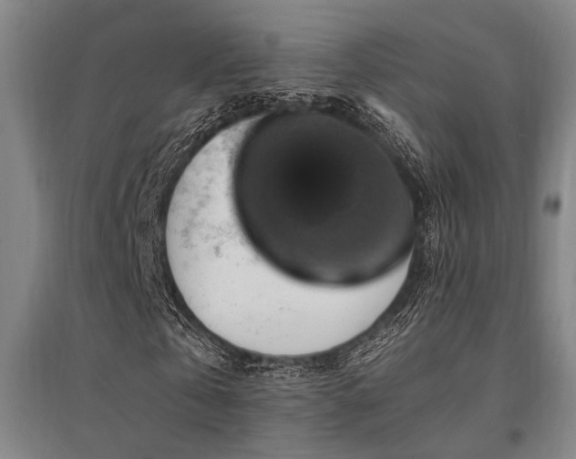 X0000095550769200712141554