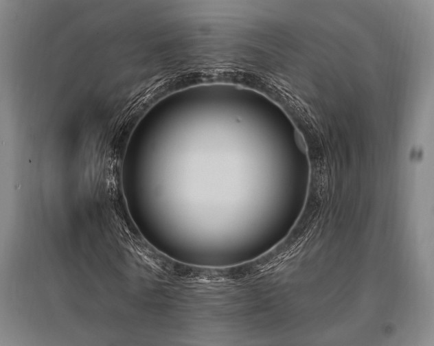 X0000095550770200712141554