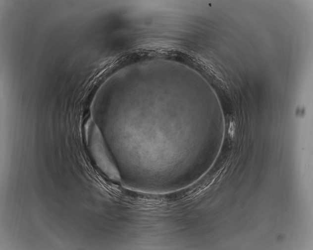 X0000095550771200712141554