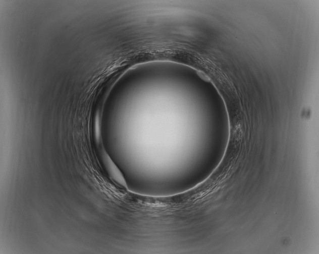 X0000095550772200712141554