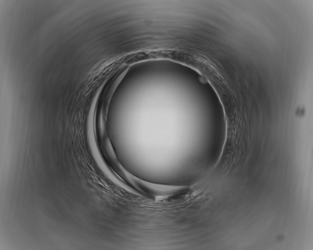 X0000095550773200712141554