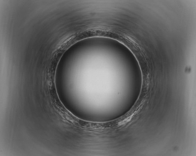 X0000095550774200712141554