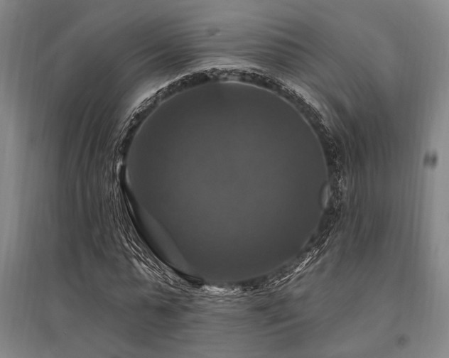 X0000095550775200712141554