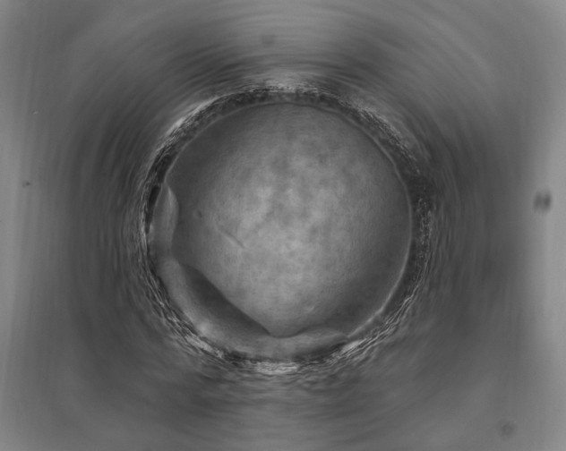 X0000095550776200712141554