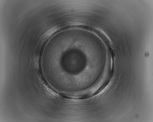 X0000095550777200712141554