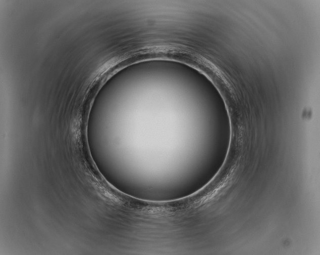 X0000095550778200712141554