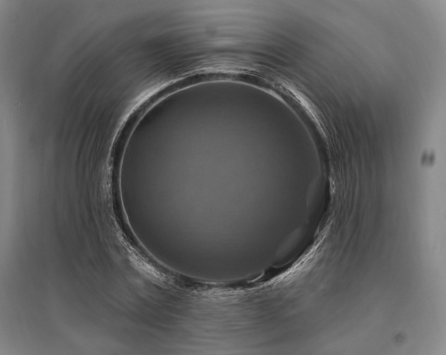 X0000095550779200712141554