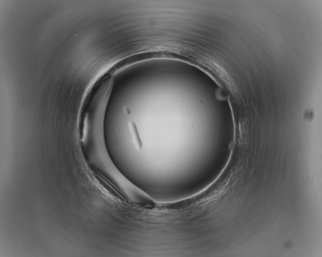 X0000095550780200712141554