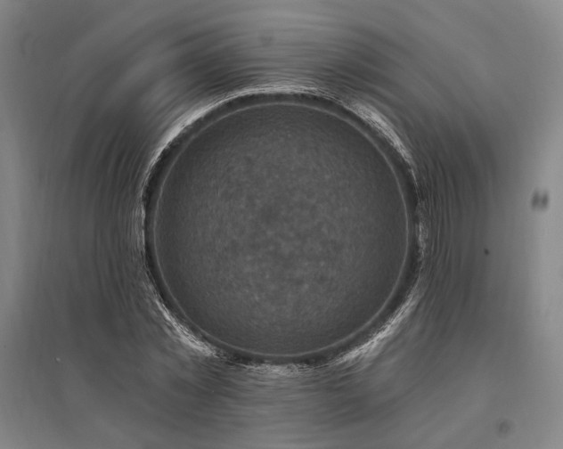 X0000095550781200712141554