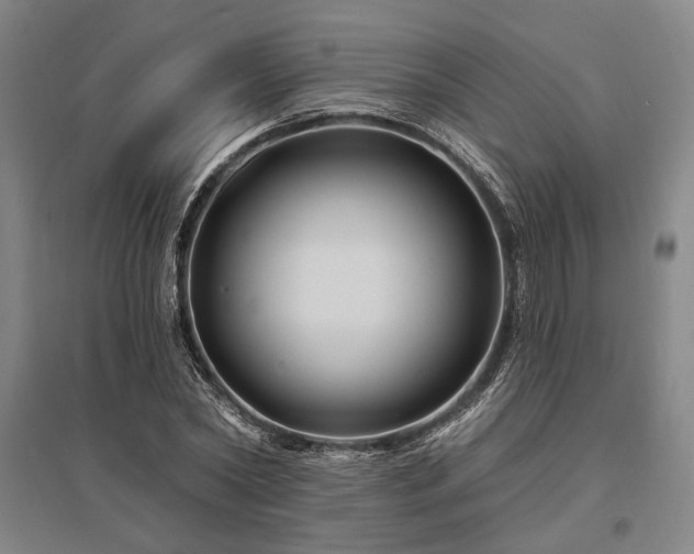 X0000095550782200712141554