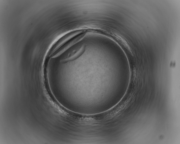 X0000095550784200712141554