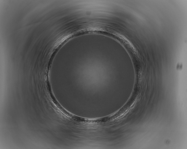 X0000095550785200712141554