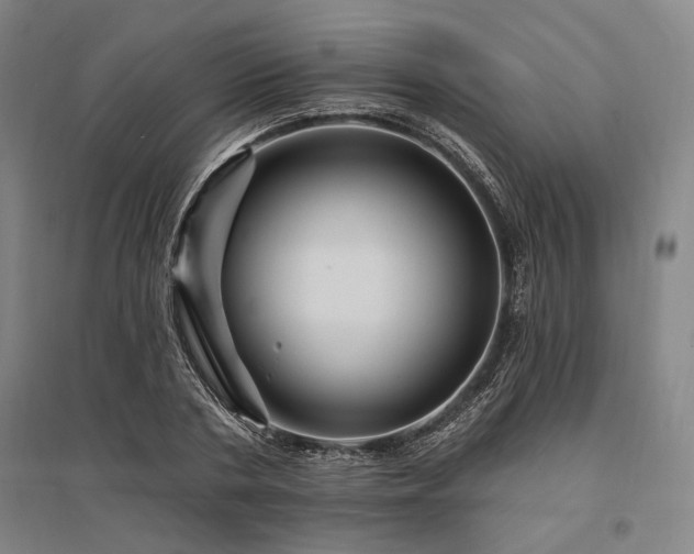 X0000095550786200712141554