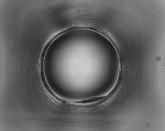 X0000095550787200712141554