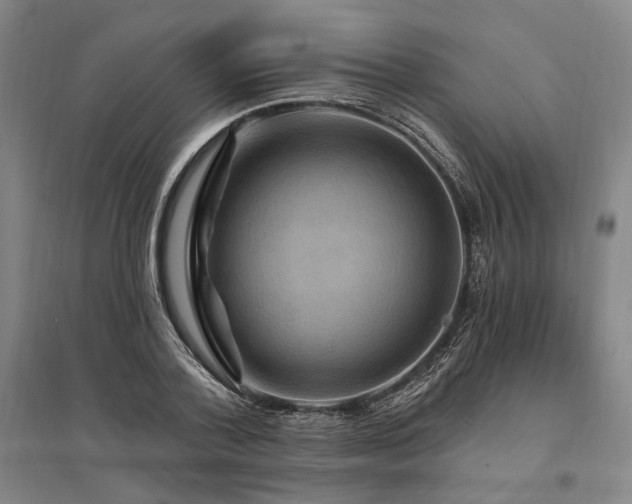 X0000095550788200712141554