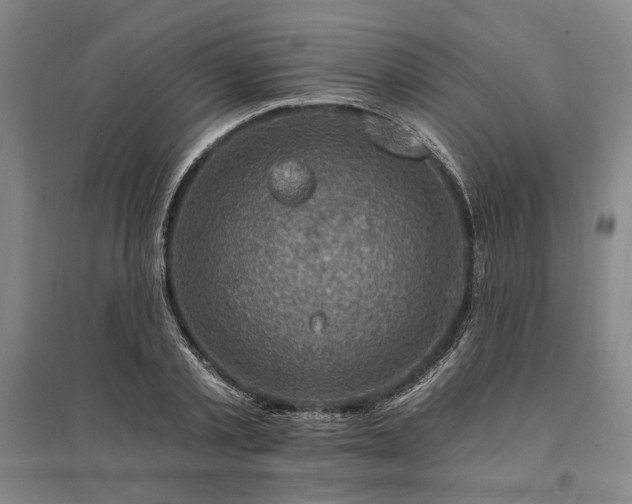 X0000095550789200712141554