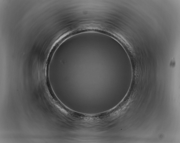 X0000095550790200712141554