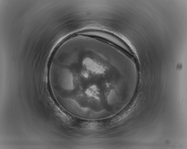 X0000095550791200712141554