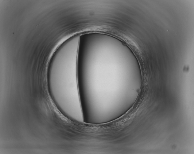 X0000095550792200712141554