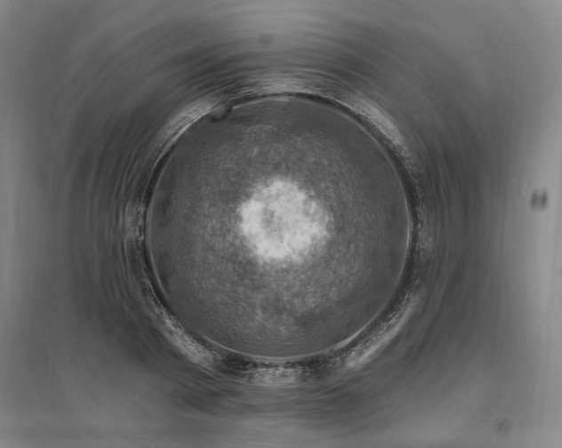 X0000095550793200712141554