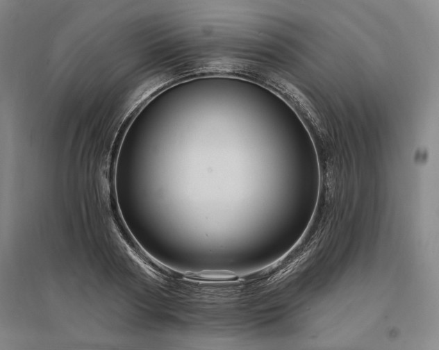 X0000095550794200712141554