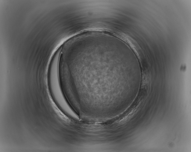 X0000095550795200712141554