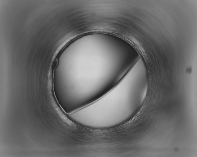 X0000095550796200712141554