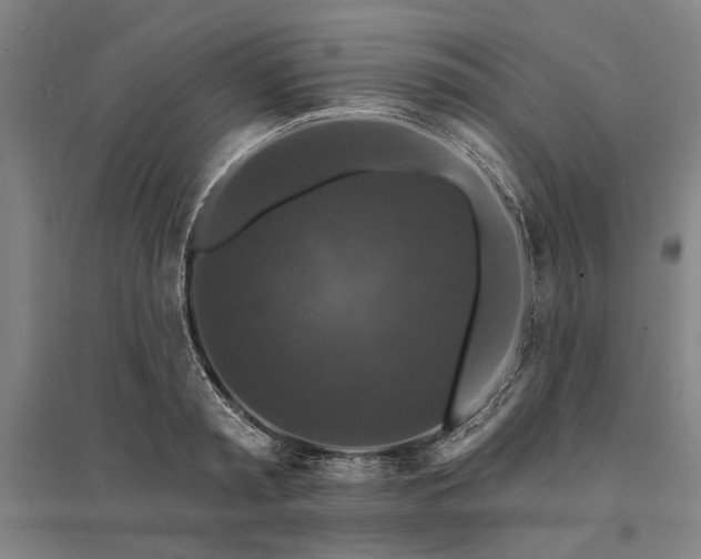 X0000095550797200712141554