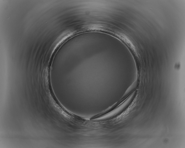 X0000095550798200712141554