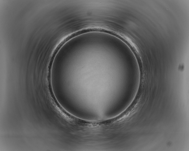 X0000095550799200712141554