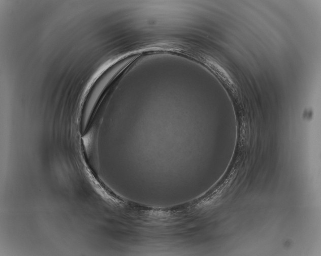 X0000095550800200712141554