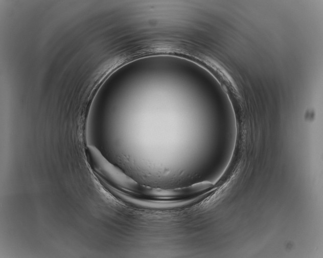 X0000095550801200712141554