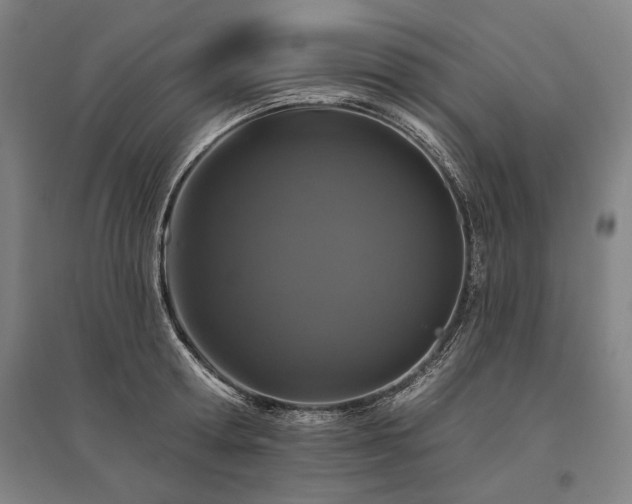 X0000095550802200712141554