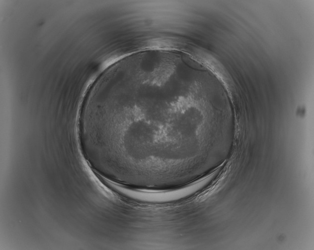 X0000095550803200712141554