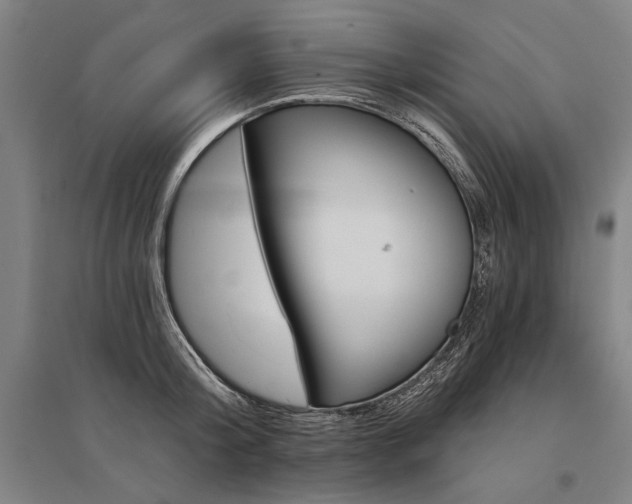 X0000095550804200712141554